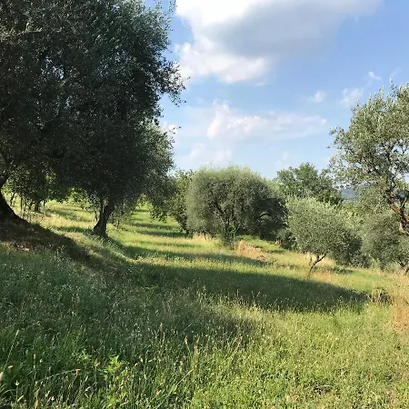 Agli Ulivi 度假居