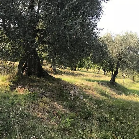 Agli Ulivi Σπίτι διακοπών Baone